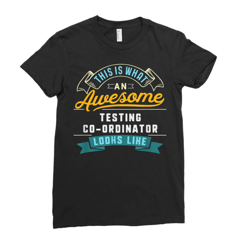 Funny Testing Co Ordinator Shirt Awesome Job Occupation T Shirt Ladies Fitted T-Shirt by zakarimullin | Artistshot