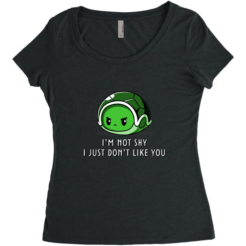 I Don't Like You Women's Triblend Scoop T-shirt | Artistshot