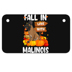 fall in love with malinois dog on pumkin halloween Motorcycle License Plate | Artistshot