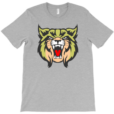 Brookings High School1 T-shirt Designed By Grace Greisy