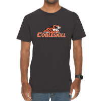 Suny Cobleskill Fighting Tigers Vintage T-shirt | Artistshot