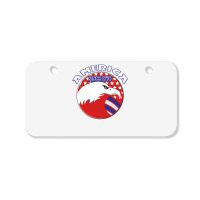 America Since 1776 Bicycle License Plate | Artistshot