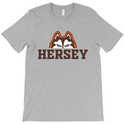 John Hersey High School T-shirt Designed By Alger Annabel