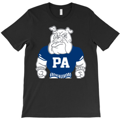 Peoria Accelerated High School 2 T-shirt Designed By Jillian Jenia