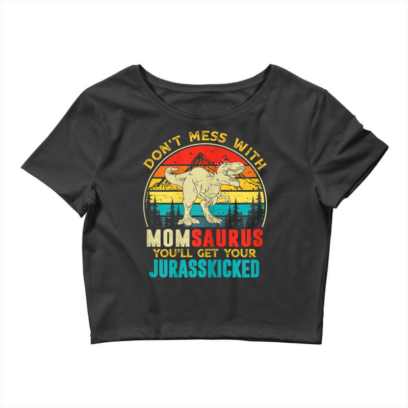 Womens Fun Women Retro Momsaurus Dinosaur T Rex Mothers Day T Shirt Crop Top | Artistshot