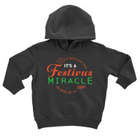 Seinfeld It's A Festivus Miracle Premium T Shirt Toddler Hoodie | Artistshot