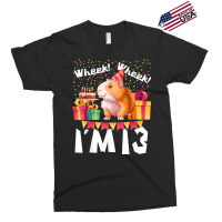 I'm 13th Birthday Girls Party Cute Hamster Pet Lover 13 Year T Shirt Exclusive T-shirt | Artistshot