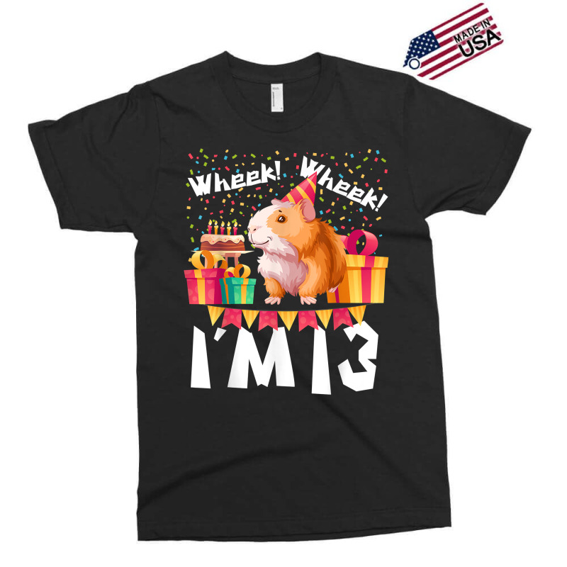 I'm 13th Birthday Girls Party Cute Hamster Pet Lover 13 Year T Shirt Exclusive T-shirt by belenfinl | Artistshot