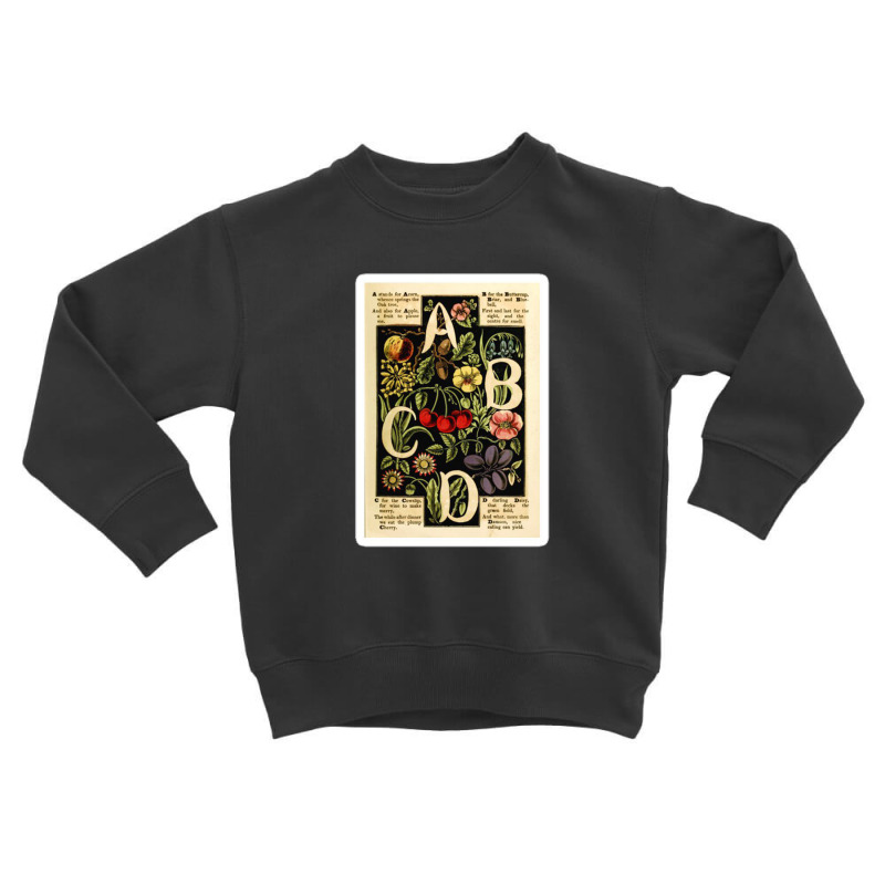 Vintage French World Map Coming Of Venus Orbiting The Sun M De La Land Toddler Sweatshirt | Artistshot