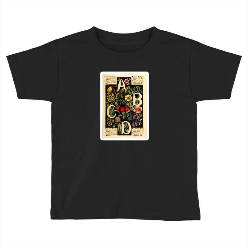 Vintage French World Map Coming Of Venus Orbiting The Sun M De La Land Toddler T-shirt | Artistshot