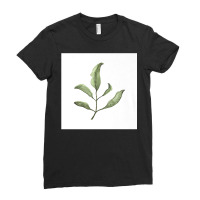 Leaves Watercolor Art Gardener Plant Print Decor Gift Premium T Shirt Ladies Fitted T-shirt | Artistshot