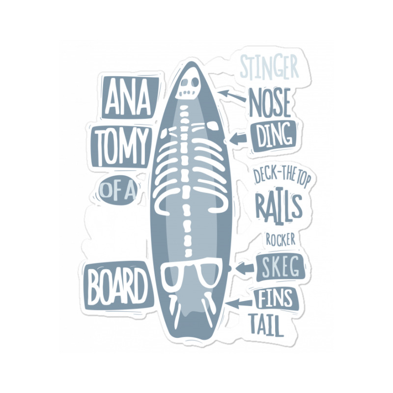 Funny Anatomy Of A Surfboard Sticker | Artistshot