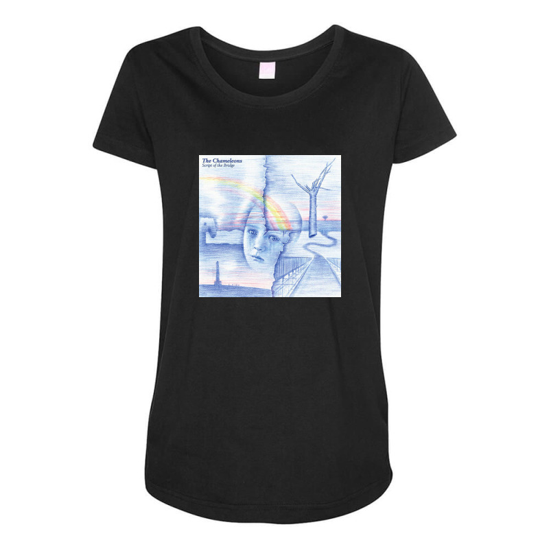 Chameleons Maternity Scoop Neck T-shirt | Artistshot