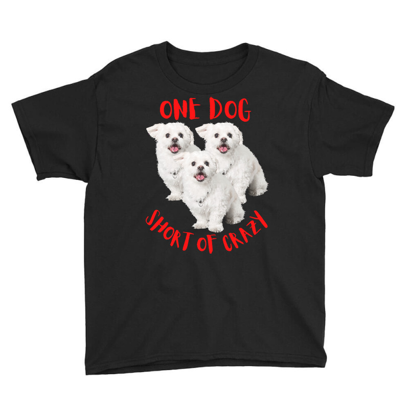 One Dog Short Of Crazy T  Shirtone Dog Short Of Crazy T  Shirt (13) Youth Tee | Artistshot