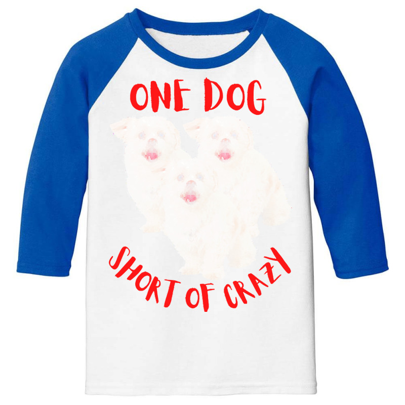 One Dog Short Of Crazy T  Shirtone Dog Short Of Crazy T  Shirt (13) Youth 3/4 Sleeve | Artistshot