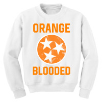 Tennessee Fan Orange Blooded Vol Sports Fan State Flag Tn Pullover Hoo Youth Sweatshirt | Artistshot