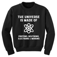 The Universe Is Made Of Protons, Neutrons, Electrons And Morons - Scie Youth Sweatshirt | Artistshot