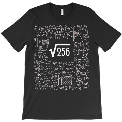 Square Root Of 256 Birthday Art 16 Years Old Math Nerd Geek T Shirt T-shirt Designed By Shyanneracanello