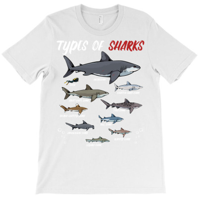Types Of Sharks Animal Ocean Scuba Diving Funny Week Pullover Hoodie T-shirt Designed By Enigma