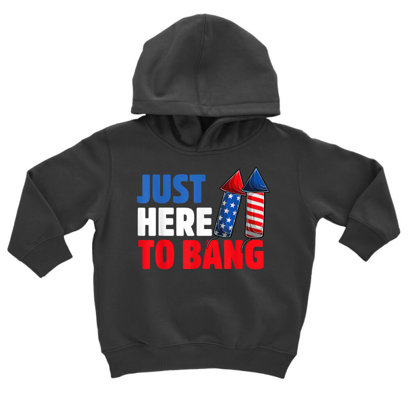 Just Here To Bang Shirt 4th Of July Firework Patriotic Funny T Shirt Toddler Hoodie | Artistshot