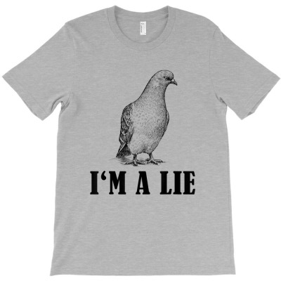 Birds Spie Conspiracy Joke Meme Surveillance T-shirt Designed By Nguyen Van Thuong