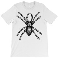 Tarantula Insect T Shirt T-shirt | Artistshot