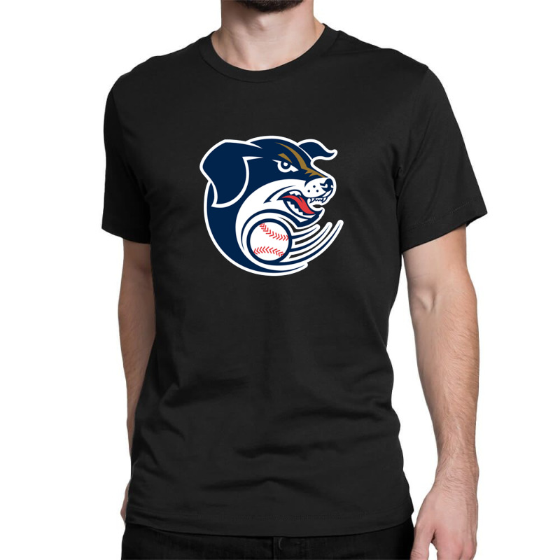 Lincoln Saltdogs Lincoln Saltdogs Classic T-Shirt | Redbubble