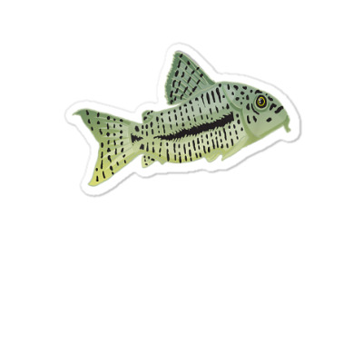 Cory Catfish Aquarium Design For Fishkeeping Fans Designs T Shirt Sticker Designed By Smykowskicalob1991