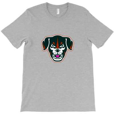 Lincoln Saltdogs T-shirt Designed By Young81