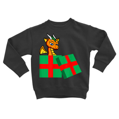 Dragon Present Funny Cool Boy Christmas Gift T Shirt Toddler Sweatshirt Designed By Wallack3453