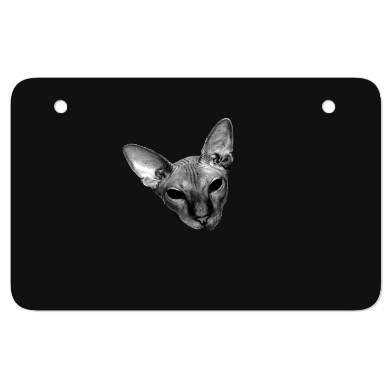 Poppy - Bleep Bloop Atv License Plate | Artistshot