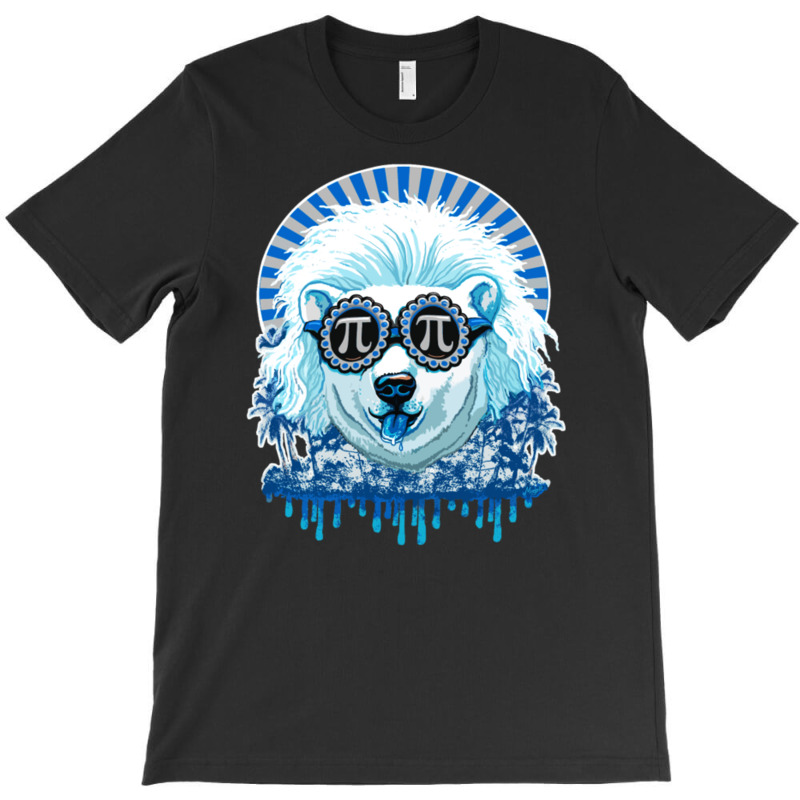 Pi Polar Bear T-shirt | Artistshot