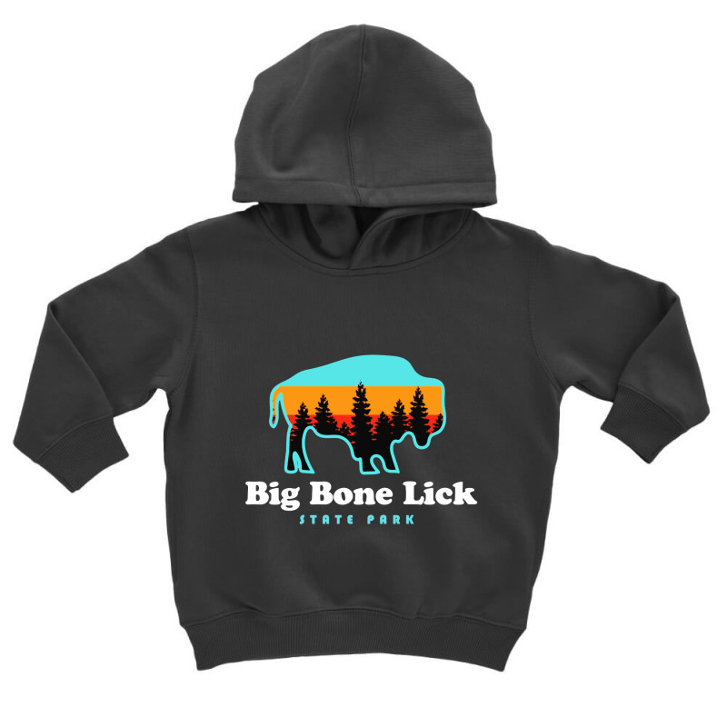 Big Bone Lick State Park Kentucky Bison Fossils Toddler Hoodie by Mblentot | Artistshot