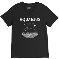 Aquarius Zodiac Sign V-neck Tee | Artistshot