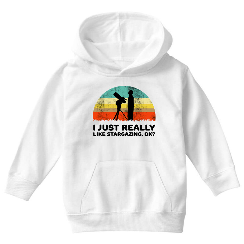 Funny I Just Really Like Stargazing Youth Hoodie by Monica Store | Artistshot