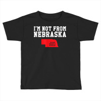 Nebraska District 2 Voter, Funny D2 Democrat T Shirt Copy Copy Copy Co Toddler T-shirt | Artistshot