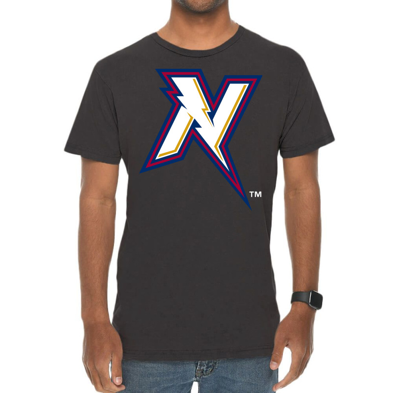 The-northwest-arkansas-naturals-pen Vintage T-shirt | Artistshot