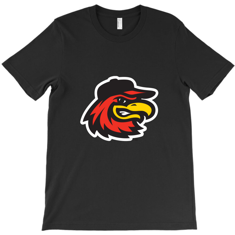 The-rochester-red-wings-pen T-shirt | Artistshot