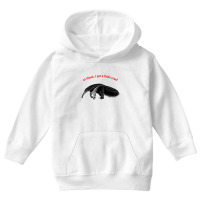 At Times I Get A Little Cruel ∆ Nihilist Anteater Design Youth Hoodie | Artistshot