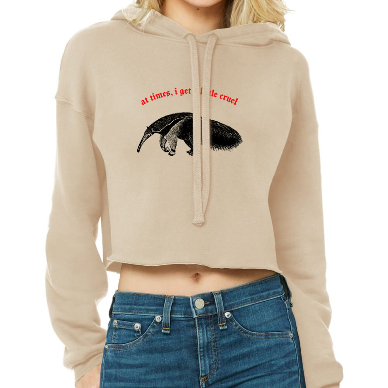 At Times I Get A Little Cruel ∆ Nihilist Anteater Design Cropped Hoodie by methadelphi | Artistshot