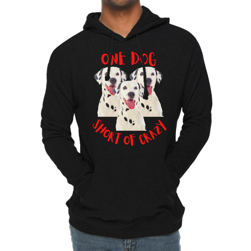 One Dog Short Of Crazy T  Shirtone Dog Short Of Crazy T  Shirt (14) Lightweight Hoodie | Artistshot