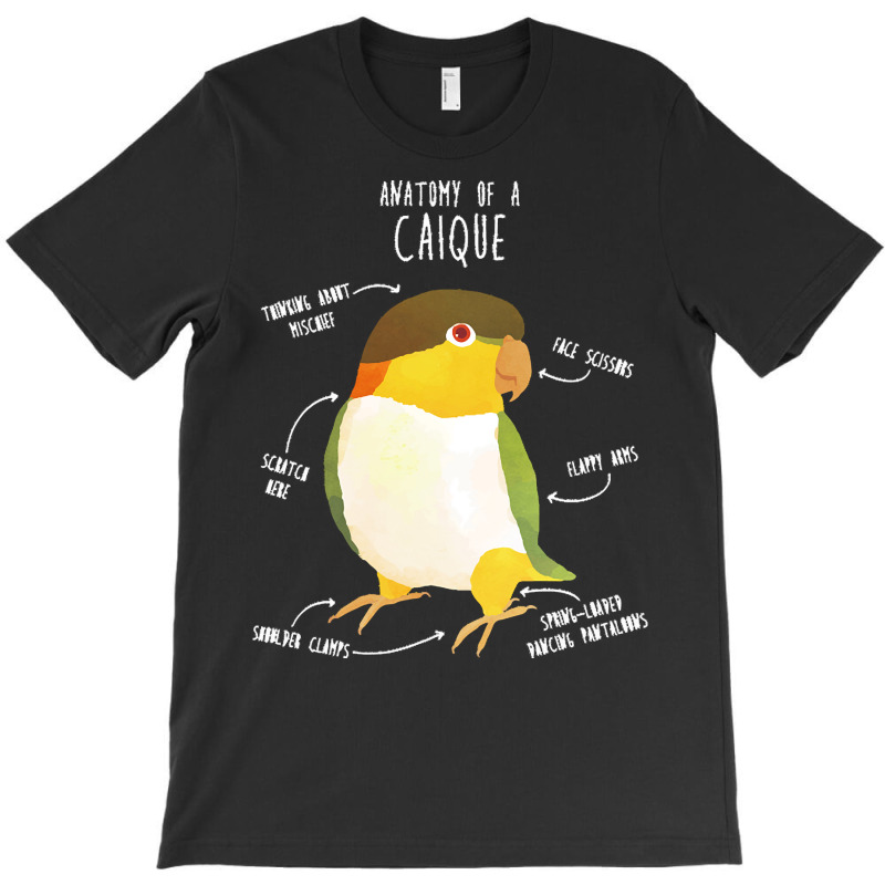 Caique T  Shirt Anatomy Of A Black  Headed Caique T  Shirt T-shirt | Artistshot