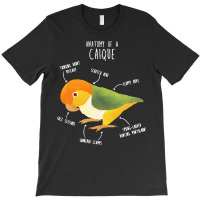 Caique T  Shirt Anatomy Of A White  Bellied Caique T  Shirt T-shirt | Artistshot