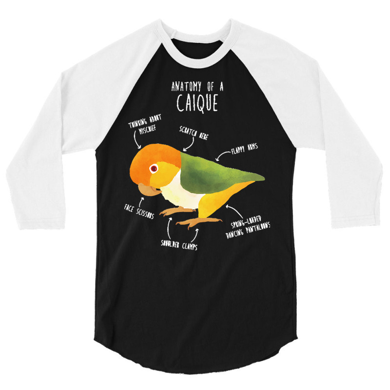 Caique T  Shirt Anatomy Of A White  Bellied Caique T  Shirt 3/4 Sleeve Shirt | Artistshot