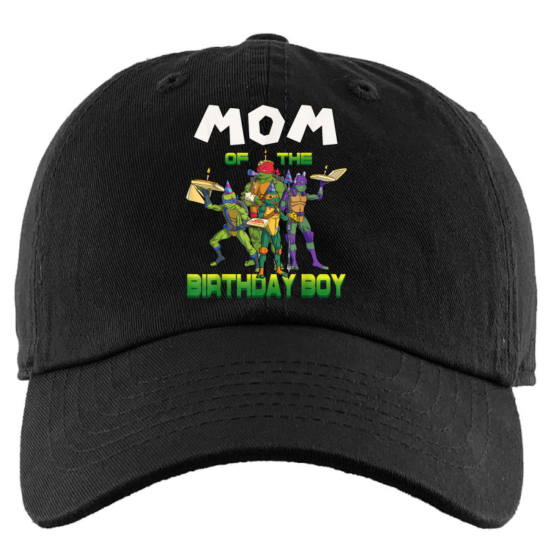 Boys Teenage Mutant Ninja Turtles Hat