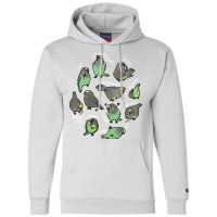 Meyer's Parrot Daily To Do List Pullover Hoodie Champion Hoodie | Artistshot