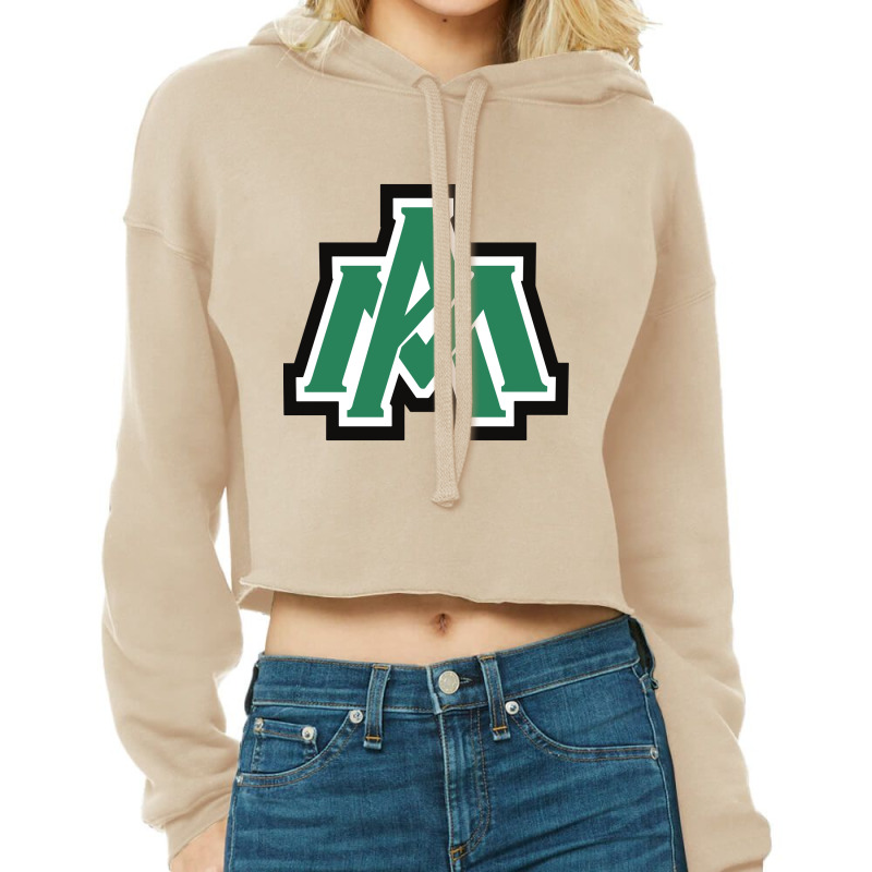 Arkansas Monticell Boll Weevils Cropped Hoodie by Richbrian | Artistshot