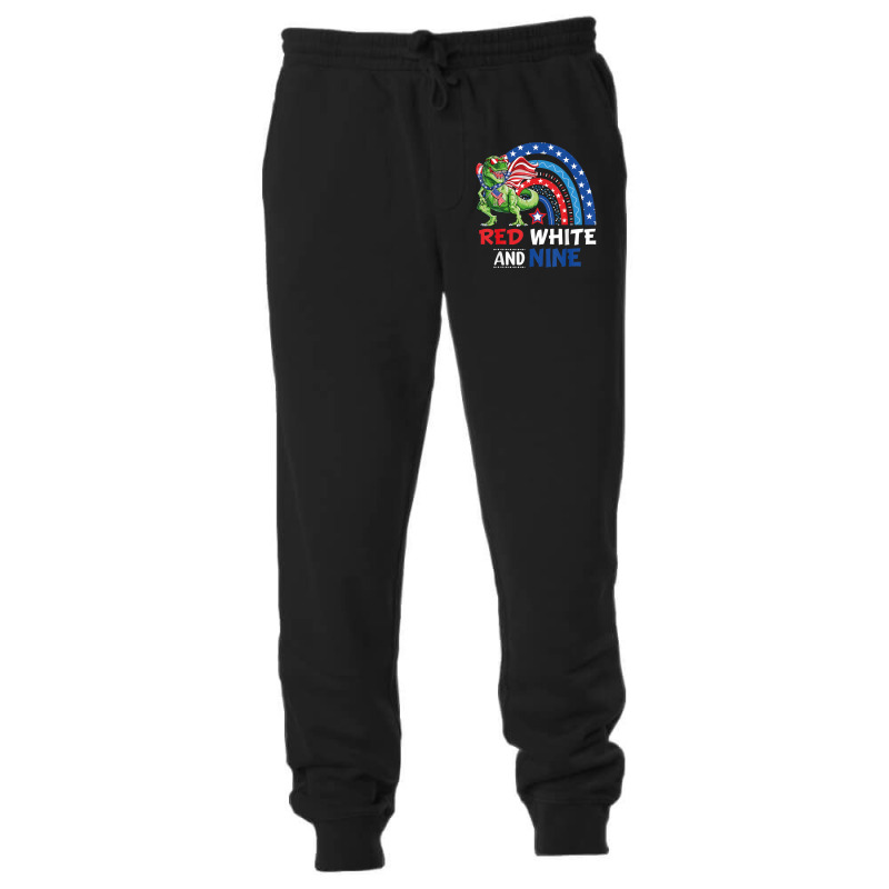 4th July Independence Day American Graphic Plus Size Dinosaur Rainbow Unisex Jogger | Artistshot