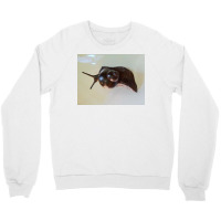 Snail Art Crewneck Sweatshirt | Artistshot