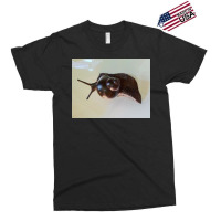 Snail Art Exclusive T-shirt | Artistshot